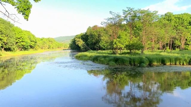 УТКИ МАНДАРИНКИ ВЛАДИВОСТОК / ЗАГОРАЕМ НА ПЛЯЖЕ #владивосток #пляж #triptop смотреть онлайн