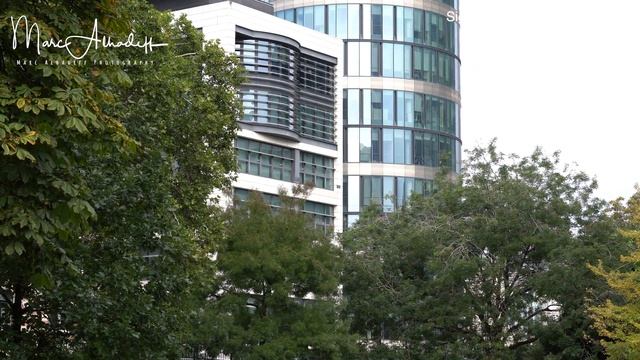 Sigma 18-50mm F2.8 DC DN On Sony A6600