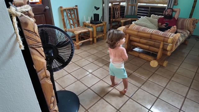 Last To Be Found In TANNERITES Hawaii House!! смотреть онлайн