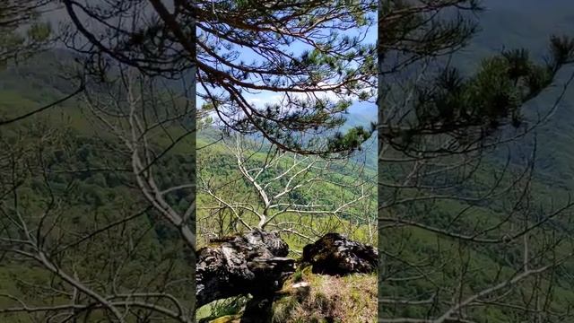 СКАЗОЧНОЕ МЕСТО??? смотреть онлайн