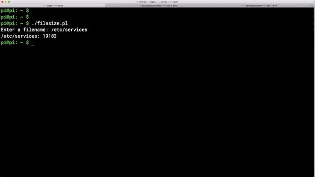Using Modules in Perl to Format Numbers смотреть онлайн