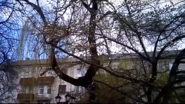 ВЛОГ-15/город,история,улицы/-1 часть!! смотреть онлайн