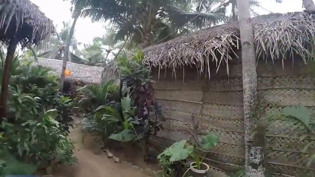 Обзор Отеля с Бунгало на пляже Агонда ГОА Индия смотреть онлайн