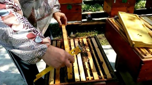 Ставлю магазины под расширение гнезда 21-22 апреля 2019г смотреть онлайн