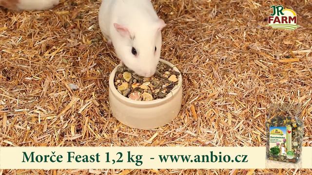 JR Farm Morče Feast 1,2 kg смотреть онлайн