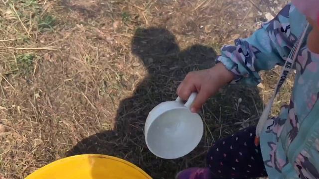 Убрали сухую траву на заброшенном участке / апрель 2019 года смотреть онлайн