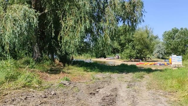 Запомните этот день) Насушила кабачки, Огромный клематис смотреть онлайн