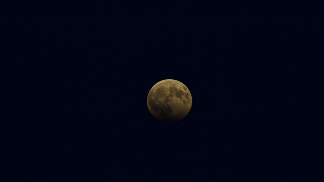 DSC_9731 смотреть онлайн