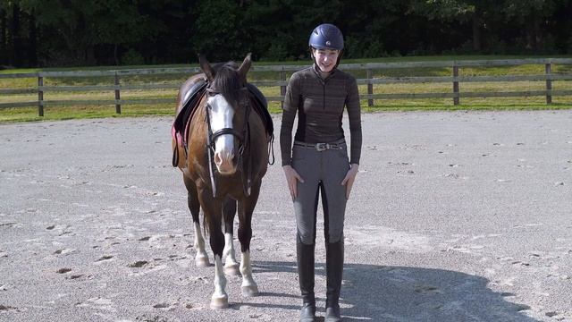 HOW TO RIDE A HORSE FOR BEGINNERS (STEP BY STEP) ? смотреть онлайн