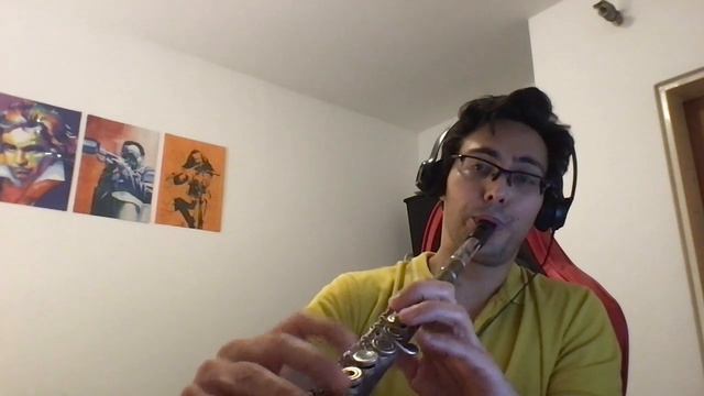 Chromalow - a flute with a whistle mouthpiece. смотреть онлайн