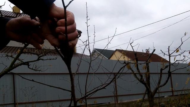 Урок 4.Потрясающие уроки обрезки сада!
Весна,лето,осень.
ПОДПИШИСЬ! смотреть онлайн