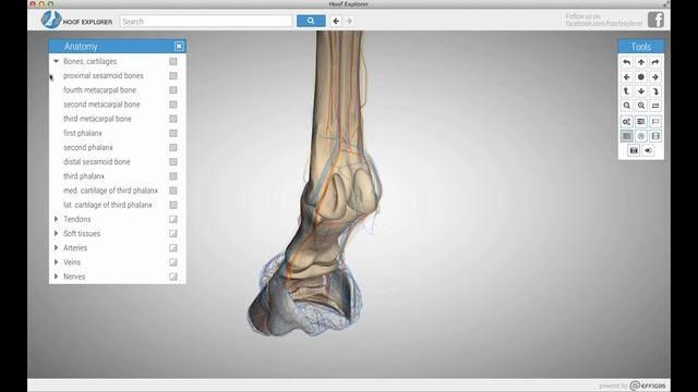 Hoof Explorer Basic Tutorial смотреть онлайн