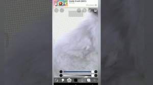 Туториал по обработке шерсти животных в WildCraft! *что-то пошло не так?*