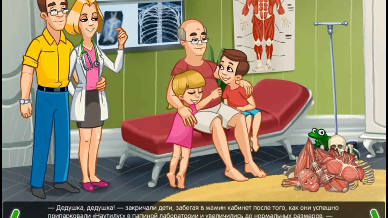 Почки: Строение и функции почек. Для детей смотреть онлайн