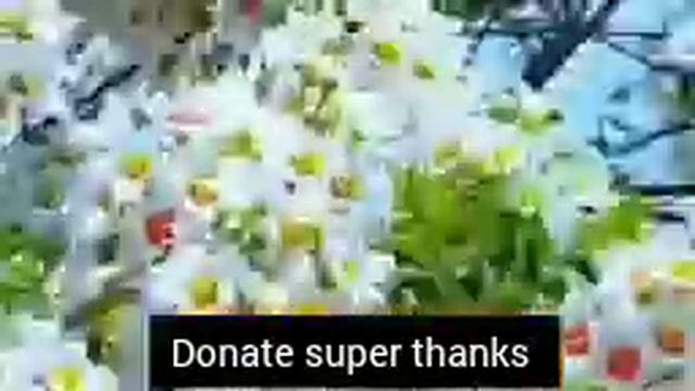 ayatul kursi 4 Qul surah Fatiha (Episode 528) 7 Taims repeat with Arabic Text beautiful (Arsh)#ayat смотреть онлайн