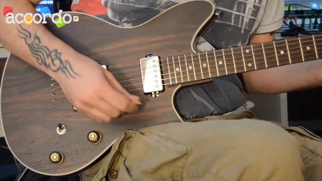 Ibanez Roadcore Premium