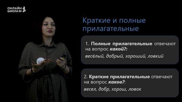 Имя прилагательное. Видеоурок 10. Русский язык 6 класс смотреть онлайн