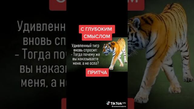 Притча про осла смотреть онлайн