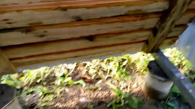 Летний душ смотреть онлайн