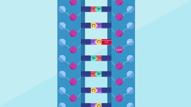 What happens when your DNA is damaged? - Monica Menesini смотреть онлайн