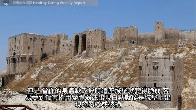 鋅缺乏的身體訊號：10個你應該知道的健康警訊（附中文字幕）｜健康飲食週報 Healthy Eating Weekly Report смотреть онлайн