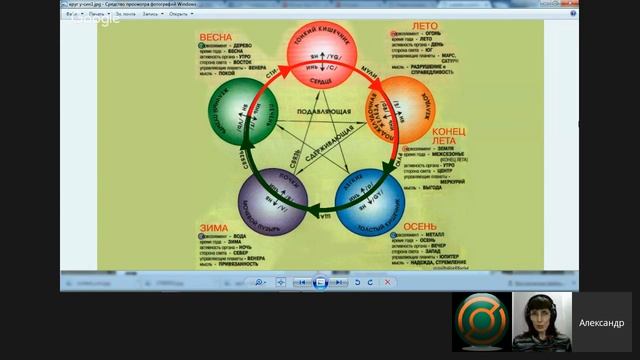 Весна. Круг У-СИН. Цвет зеленый. Орган печень. Очищение. смотреть онлайн