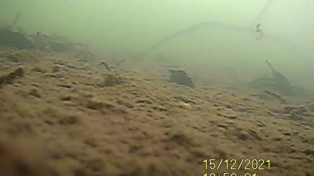 рыба зимой 15.12.2021 смотреть онлайн