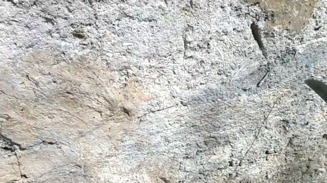 Арболит. Прочность монолитного арболита. Состав арболита. Отзыв о арболите без ГОСТ