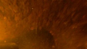 ВСЁ ПРО КАНАЛЬНОГО (АМЕРИКАНСКОГО) СОМИКА!!! ГДЕ ИСКАТЬ? КАК ЛОВИТЬ? ЧТО ПРИГОТОВИТЬ?