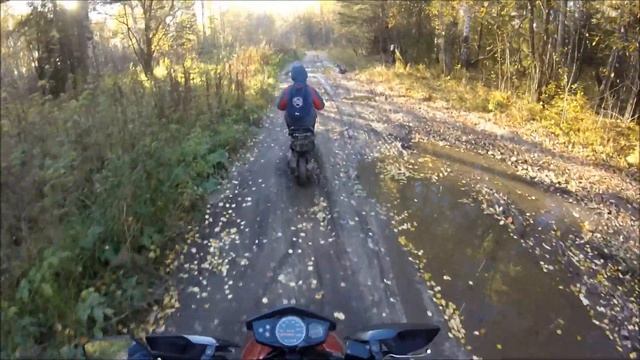 Осенние Покатушки По Лесу с SUZUKI Let's 2 [GoPro] смотреть онлайн