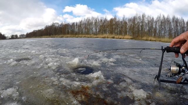? Половил мелкую плотву на канале на подледный фидер. Рыбалка на зимний фидер смотреть онлайн
