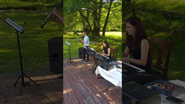 Jovano Jovanke - Chamber duo смотреть онлайн