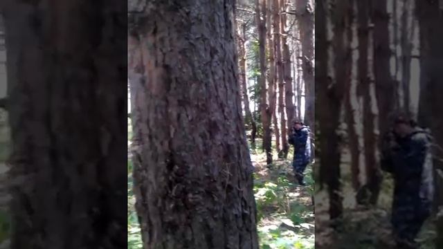 Школа 72 Лазертаг смотреть онлайн
