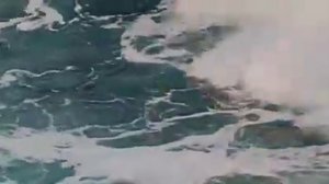 Отрывок из главы"Тамань"