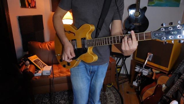 Walrus Audio Arp 87 - Lofi Dub Reggae