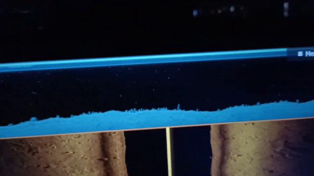 Это - Лорик ...вода 3*С Lowrance HDS 16 Live смотреть онлайн