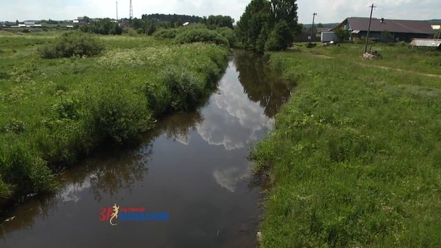 Река слов смотреть онлайн