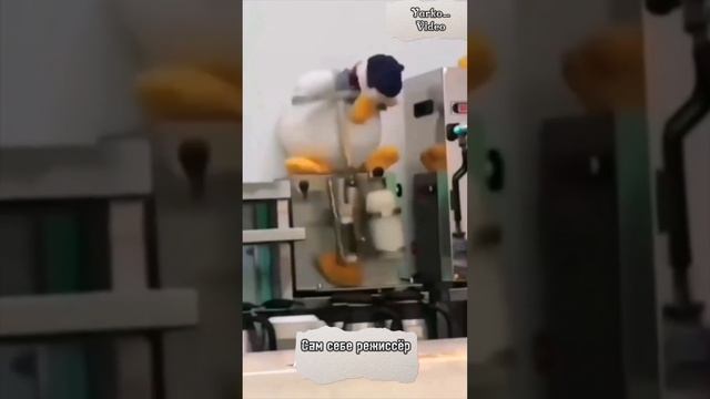 Бешенная утка!) фото заказываем в коменты!)
