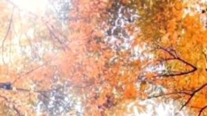 471.ЗАГОВОР ОТ ПЛОХИХ СОСЕДЕЙ