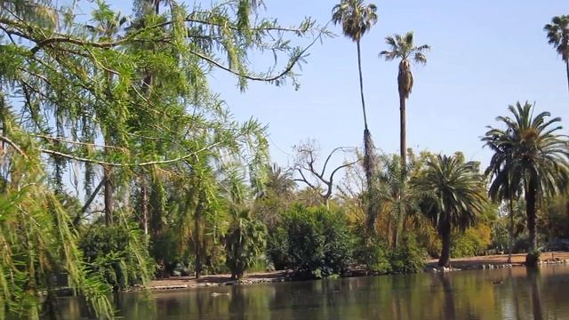 Los Angeles County Arboretum & Botanic Garden Record With Canon Powershot S100 смотреть онлайн