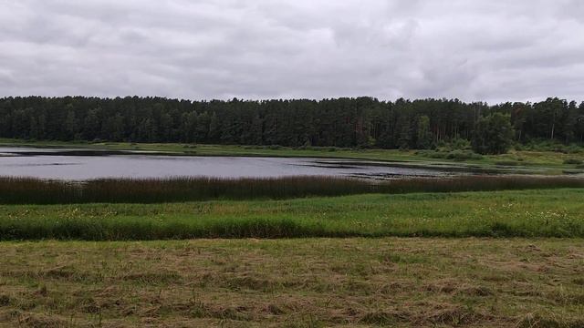 Михайловское. Июль, 2022 г.