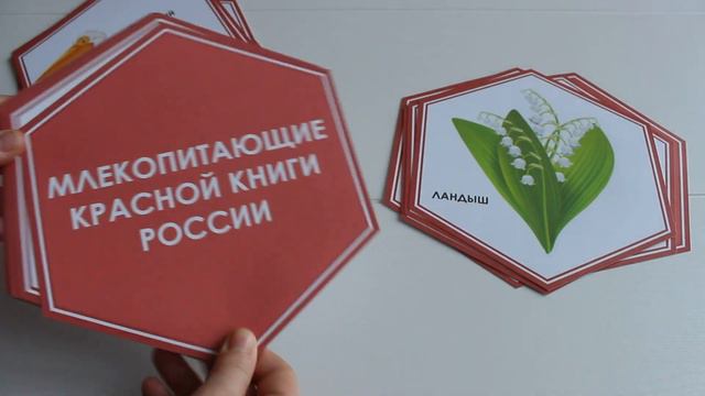 Стендбук "Экотур. Красная книга России" смотреть онлайн