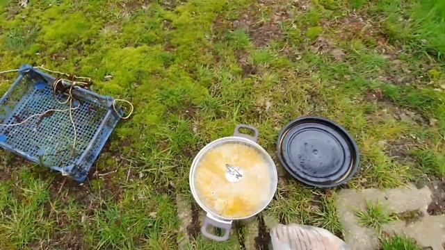 Разведение карпа, купил годовалых мальков зеркального карпа. смотреть онлайн