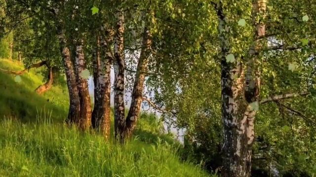 Риваль Хисматуллин- Сабыр итэм. Жырнын авторы Ирек Габдрахманов. смотреть онлайн