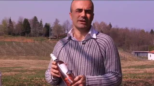 Sacchetto Pinot Grigio Ramato Veneto Blush