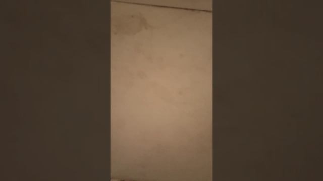 Диск инволвер и паста мистик смотреть онлайн