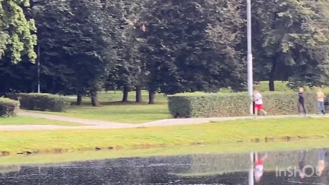 10-1908.2020. #shlyahtovjudoclub #школа2098. Парк Ангарские пруды, Западное Дегунино, Москва смотреть онлайн