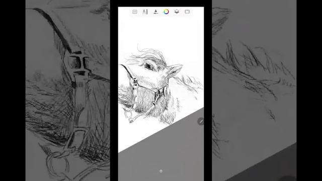 Timelapse mobile sketch horses drawing KO_Arts смотреть онлайн