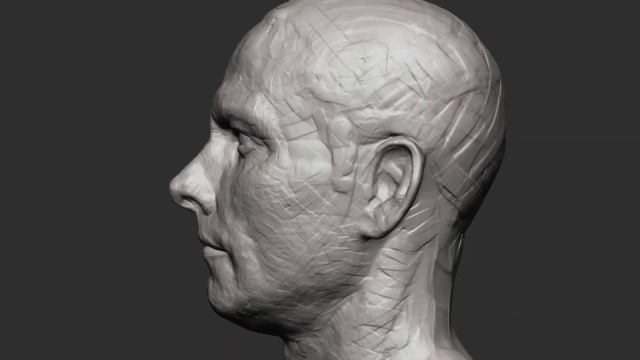 Sculpting a Realistic Head in Zbrush - Zbrush Timelapse смотреть онлайн