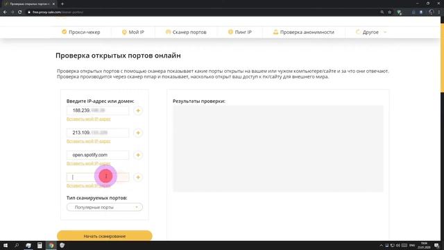 Сканер портов онлайн. Узнаём закрытые и открытые порты по IP. смотреть онлайн